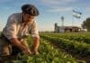 Mesa de Enlace y CAME defienden la demora en la homologación salarial rural: atribuyen el retraso a la reforma laboral, no al Gobierno Trabajador rural argentino realizando tareas en un cultivo durante el atardecer en un establecimiento agropecuario de la región pampeana.