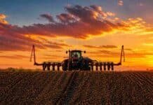 Arrendamientos en Córdoba 2026/27: bajan a 11,5 qq/ha pero sube el costo en dólares del alquiler agrícola Tractor sembrando en campo argentino al atardecer con cielo naranja intenso y surcos de tierra en primer plano