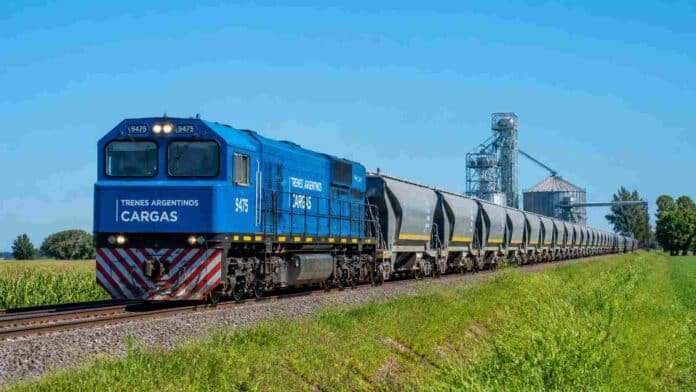 Formación del tren Belgrano Cargas con vagones cerealeros transportando granos en zona rural argentina, con silos y campos agrícolas de fondo.