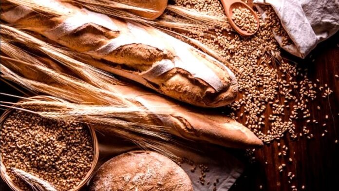 Trigal maduro combinado con panes artesanales recién horneados en panadería argentina, representando la cadena del trigo y la producción alimentaria.