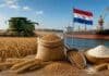 Argentina importará trigo desde Paraguay: cosecha récord pero sin oferta de calidad para la molinería Cosecha de trigo junto a un puerto cerealero y granos destinados a la industria molinera en una escena vinculada a importaciones desde Paraguay.