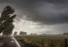 Temporal de viento con ráfagas de 90 km/h avanza sobre Buenos Aires y el centro del país Fuertes ráfagas de viento y lluvia sobre un campo bonaerense con árboles doblados y camino rural bajo tormenta.