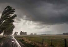 Temporal de viento con ráfagas de 90 km/h avanza sobre Buenos Aires y el centro del país Fuertes ráfagas de viento y lluvia sobre un campo bonaerense con árboles doblados y camino rural bajo tormenta.