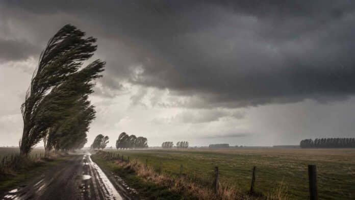 Fuertes ráfagas de viento y lluvia sobre un campo bonaerense con árboles doblados y camino rural bajo tormenta.