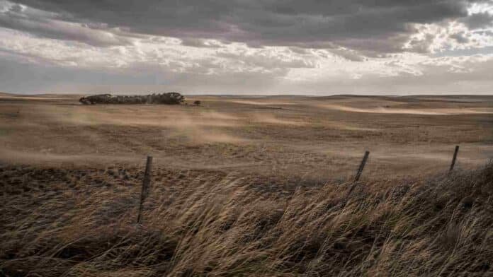 viento-fuerte-campo-la-pampa-alerta-smn Campo abierto en La Pampa bajo alerta por viento fuerte, con pastizales doblados por las ráfagas, polvo en suspensión y cielo oscuro y amenazante.