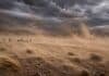 El domingo soplan ráfagas de 100 km/h en el NOA: una alerta que afecta productores, rutas y ganado de altura Fuertes ráfagas de viento levantando grandes nubes de polvo en la Puna argentina con llamas bajo un cielo oscuro de tormenta en paisaje de alta montaña
