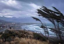Alerta amarilla por vientos fuertes en Santa Cruz y Tierra del Fuego: ráfagas podrían superar los 90 km/h Fuertes vientos sobre la costa patagónica con árboles inclinados por ráfagas intensas y cielo tormentoso en Santa Cruz y Tierra del Fuego.