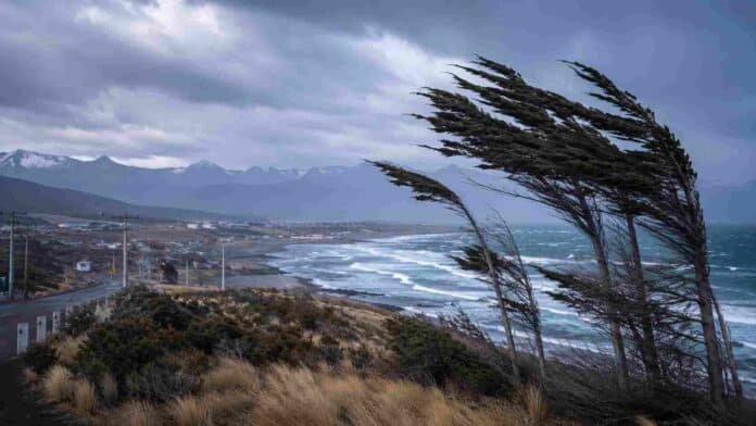 Fuertes vientos sobre la costa patagónica con árboles inclinados por ráfagas intensas y cielo tormentoso en Santa Cruz y Tierra del Fuego.
