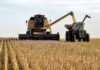 La actividad agropecuaria repuntó en mayo y quedó a un paso de su máximo histórico
