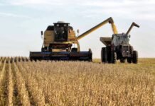 La actividad agropecuaria repuntó en mayo y quedó a un paso de su máximo histórico