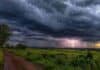 Helada posible en el sur, tormentas en el norte y niebla en el Litoral: el tiempo en el campo del 10 al 12 de junio Nubes de tormenta oscuras con un relámpago en el horizonte avanzan sobre un paisaje rural de vegetación exuberante en el norte argentino, con campos verdes y cielo dramático en la región subtropical.