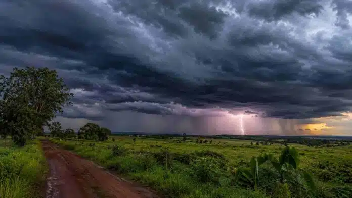 Tormenta eléctrica avanza sobre campos subtropicales del norte argentino Nubes de tormenta oscuras con un relámpago en el horizonte avanzan sobre un paisaje rural de vegetación exuberante en el norte argentino, con campos verdes y cielo dramático en la región subtropical.
