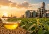 El aceite de soja ya no es solo alimento: la demanda para biocombustibles está cambiando el precio global Aceite de soja y granos de soja junto a un cultivo, con silos industriales y puerto exportador al atardecer.