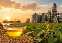 El aceite de soja ya no es solo alimento: la demanda para biocombustibles está cambiando el precio global Aceite de soja y granos de soja junto a un cultivo, con silos industriales y puerto exportador al atardecer.