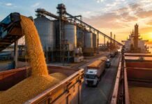 La agroindustria explica más del 70% de las exportaciones en la mitad de las provincias argentinas Puerto agroindustrial argentino al atardecer con granos cargándose en barcazas, silos, camiones y buques, representando el peso exportador de la agroindustria provincial.