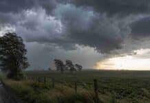Se vienen tormentas con granizo en zonas clave del agro argentino: alerta amarilla activa Tormenta intensa con lluvia y viento sobre un camino rural y un campo agrícola, en una escena de alerta meteorológica amarilla.