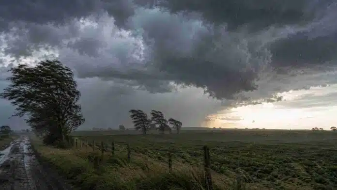 alerta-amarilla-tormenta-campo-rural Tormenta intensa con lluvia y viento sobre un camino rural y un campo agrícola, en una escena de alerta meteorológica amarilla.
