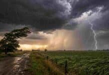 Alerta por tormentas fuertes, lluvias y vientos: más de 70 localidades y departamentos bajo vigilancia meteorológica Tormenta fuerte sobre un campo agrícola con lluvia intensa, relámpagos, ráfagas de viento y camino rural anegado.