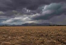 Mayo dejó lluvias escasas en la zona relevada por la Red BCCBA Campo en barbecho con rastrojo de maíz en la provincia de Córdoba, Argentina, con suelo seco, sierras al fondo y nubes negras de tormenta aproximándose