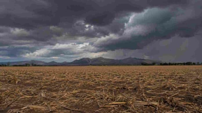 Campo en barbecho con rastrojo de maíz en la provincia de Córdoba, Argentina, con suelo seco, sierras al fondo y nubes negras de tormenta aproximándose