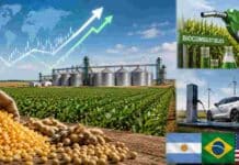 El mundo va a producir más granos de los que puede consumir y Argentina tiene una sola salida: los biocombustibles Campo de soja y maíz junto a silos de almacenamiento y referencias a biocombustibles y movilidad eléctrica, representando los desafíos futuros para la demanda mundial de granos.
