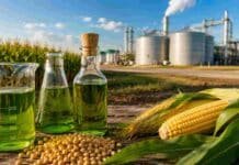 El campo quiere subir el bioetanol en las naftas al 15%: la ley que multiplicaría la demanda de maíz y caña de azúcar Biocombustible elaborado a partir de maíz y soja, con muestras líquidas en laboratorio, cultivos agrícolas y planta agroindustrial al fondo.