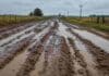 Presentan un proyecto para redireccionar el Impuesto Inmobiliario Rural hacia la infraestructura vial Camino rural de tierra en mal estado, con barro, huellas profundas y grandes charcos tras las lluvias en una zona agropecuaria.