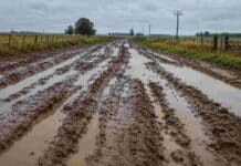 Presentan un proyecto para redireccionar el Impuesto Inmobiliario Rural hacia la infraestructura vial Camino rural de tierra en mal estado, con barro, huellas profundas y grandes charcos tras las lluvias en una zona agropecuaria.
