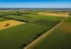 $18 millones contra $1,2 millones: la brecha fiscal entre provincias que paga un campo de 200 hectáreas Vista aérea de un campo agrícola en producción con parcelas geométricas de distintos cultivos, observadas desde un dron sobre la llanura pampeana en un día despejado.