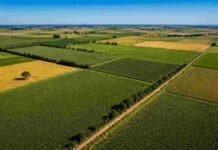 $18 millones contra $1,2 millones: la brecha fiscal entre provincias que paga un campo de 200 hectáreas Vista aérea de un campo agrícola en producción con parcelas geométricas de distintos cultivos, observadas desde un dron sobre la llanura pampeana en un día despejado.