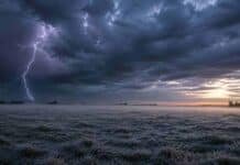 Heladas generalizadas, nieblas y lluvias desde el jueves: el pronóstico agropecuario para el centro y norte del país del 16 al 18 de junio Campo pampeano con escarcha al amanecer, neblina baja y un relámpago bajo cielo de tormenta invernal.
