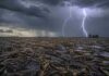 Fin de semana con heladas, viento y tiempo inestable: el pronóstico agropecuario del 26 al 28 de junio Campo de la llanura pampeana con rastrojo de soja sobre suelo mojado durante una tormenta, lluvia intensa y dos relámpagos iluminando un cielo oscuro de invierno.