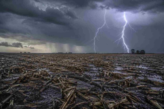 Campo de la llanura pampeana con rastrojo de soja sobre suelo mojado durante una tormenta, lluvia intensa y dos relámpagos iluminando un cielo oscuro de invierno.