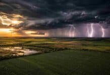 Tormentas localmente fuertes en el NEA y Misiones este viernes antes de una mejora generalizada el sábado Vista aérea de campos agrícolas del noreste argentino con cultivo de soja en primer plano, cielo de tormenta y relámpagos intensos en el horizonte al amanecer.