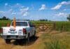 Entraron sin romper nada y se llevaron 52 terneros: el robo de 50.000 dólares que alarma al campo bonaerense Camioneta policial rural estacionada junto a una tranquera de madera en un campo agrícola, bajo cielo despejado con nubes