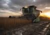Soja 2025/26: cosecha al 95% con récord de rendimiento Cosechadora Fendt Ideal trabajando en un lote de soja R7 con suelo mojado, barro y charcos, durante una cosecha al atardecer bajo cielo nublado.