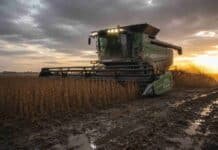 Soja 2025/26: cosecha al 95% con récord de rendimiento Cosechadora Fendt Ideal trabajando en un lote de soja R7 con suelo mojado, barro y charcos, durante una cosecha al atardecer bajo cielo nublado.