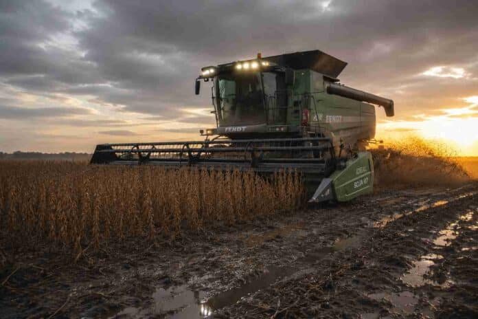 cosecha-de-soja-con-fendt-ideal-en-suelo-mojado Cosechadora Fendt Ideal trabajando en un lote de soja R7 con suelo mojado, barro y charcos, durante una cosecha al atardecer bajo cielo nublado.