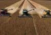 Argentina cosechará más soja que en los últimos siete años, aunque sembró menos campo que nunca en una década Tres cosechadoras Massey Ferguson, Fendt y Challenger avanzan en paralelo sobre un lote de soja R7 en buen estado, durante una cosecha vista desde drone.