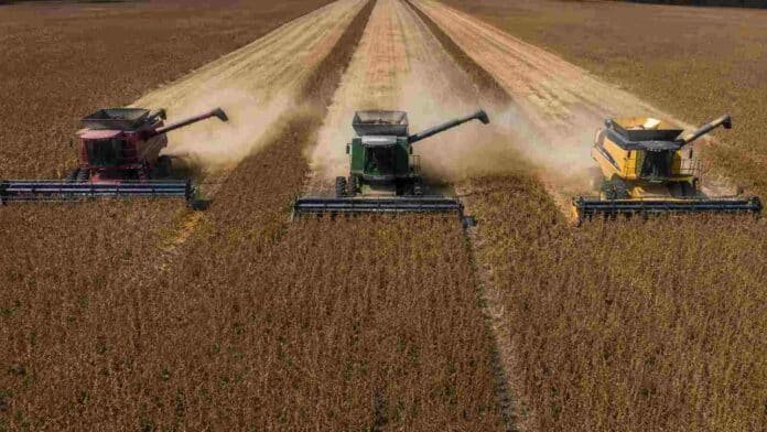 Tres cosechadoras Massey Ferguson, Fendt y Challenger avanzan en paralelo sobre un lote de soja R7 en buen estado, durante una cosecha vista desde drone.