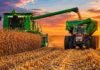 La cosecha de maíz 2025/26 avanza al 40,6% y marca rindes récord en La Pampa y Buenos Aires Cosechadora descargando maíz en una tolva durante la cosecha en un campo argentino al atardecer, con cielo dorado, polvo en suspensión y maquinaria agrícola trabajando.