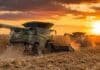 La cosecha de maíz avanza sobre el 51,2% del área y se mantiene la proyección de 64 millones de toneladas Dos cosechadoras trabajando en tándem durante la cosecha de maíz al atardecer, con polvo y rastrojo en el campo.