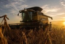 Cuánto bajan las retenciones y cuándo: el cronograma completo del Decreto 423/2026 Cosechadora Challenger trabajando en un lote de soja al atardecer en la Pampa Húmeda, vista ojo de hormiga con luz dorada