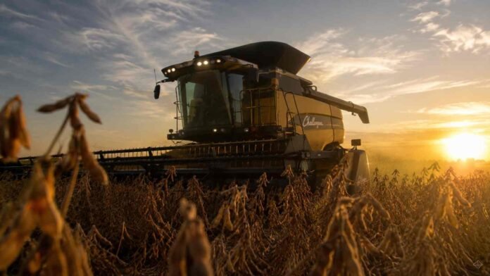 Cosechadora Challenger trabajando en un lote de soja al atardecer en la Pampa Húmeda, vista ojo de hormiga con luz dorada