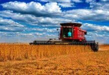 La cosecha de soja 2025/26 alcanza el 91,7% y registra el segundo mejor rinde de la historia Cosechadora roja trabajando en un lote de soja madura en la región pampeana argentina, con cielo nublado, colores intensos y rastrojo seco sobre el suelo