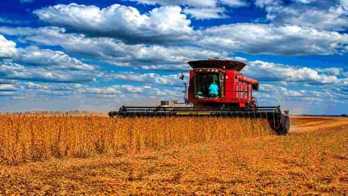 Cosechadora roja trabajando en un lote de soja madura en la región pampeana argentina, con cielo nublado, colores intensos y rastrojo seco sobre el suelo
