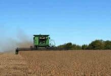 La producción de soja en Entre Ríos caería 21% en la campaña 2025/26 Cosechadora Vassalli trabajando en un lote de soja seca, con polvo detrás de la máquina y cielo despejado sobre un campo agrícola argentino.