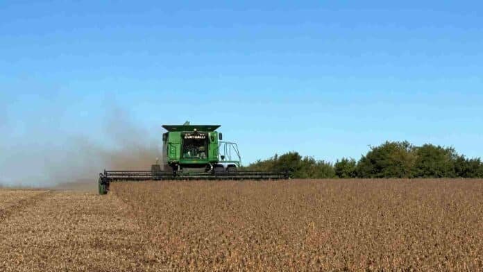 Cosechadora Vassalli trabajando en un lote de soja seca, con polvo detrás de la máquina y cielo despejado sobre un campo agrícola argentino.