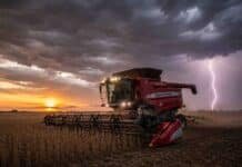Con el norte y centro ya finalizados, la cosecha de soja avanza sobre el sur con rindes rezagados Cosechadora Massey Ferguson trabajando en la cosecha de soja en un campo de la zona núcleo al atardecer, con nubes de tormenta y un relámpago de fondo.