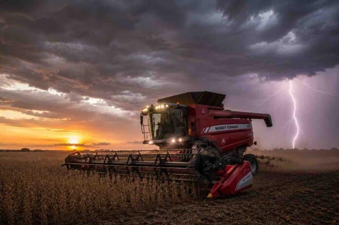 cosecha-soja-massey-ferguson-tormenta-ruralnet Cosechadora Massey Ferguson trabajando en la cosecha de soja en un campo de la zona núcleo al atardecer, con nubes de tormenta y un relámpago de fondo.